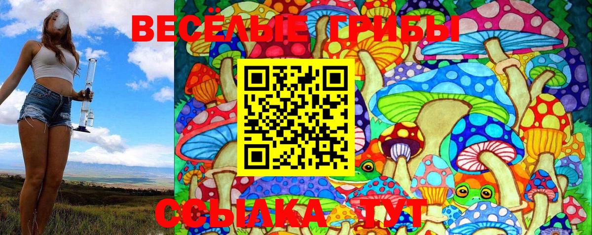 купить   Галлюциногенные грибы Cubensis  Вход с VPN  Псилоцибиновые грибы прущие грибы  Дивногорск 
