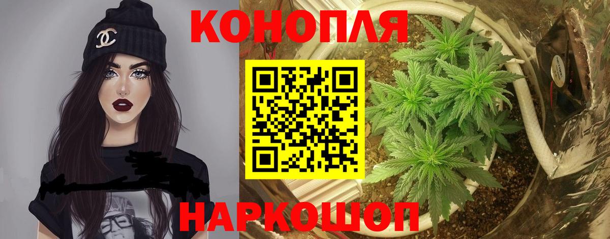 Канабис план  Вход с VPN  Марихуана White Widow  Бошки марихуана гибрид  Дивногорск 